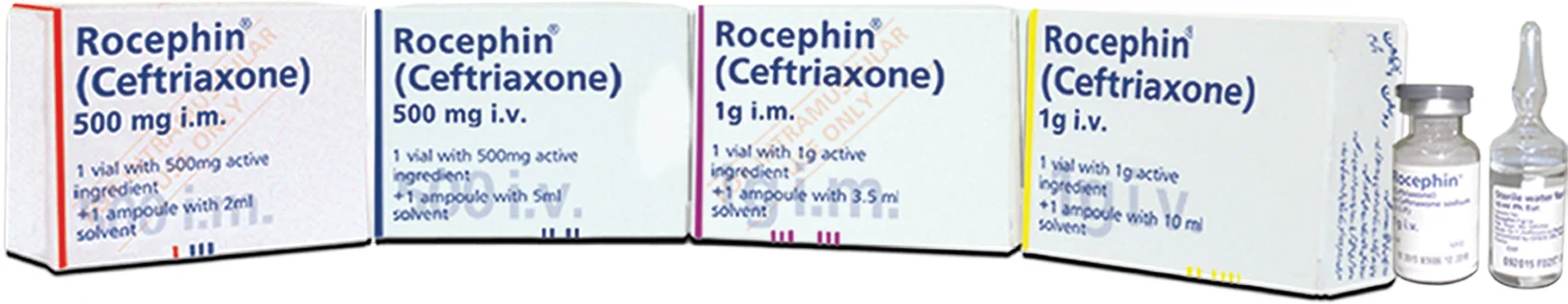 Rocephin (1G) 1 Vial Iv Injection